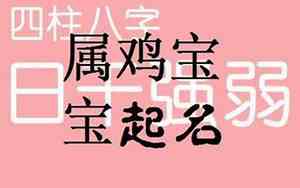 志的鸡宝宝名字