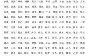 2个字的网名