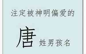 唐歆男宝宝名字