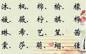 2018宝宝缺木的名字