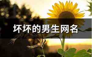 坏坏的男生网名