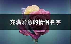 充满爱意的公司名字
