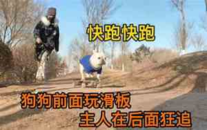 我怎么感觉不好听