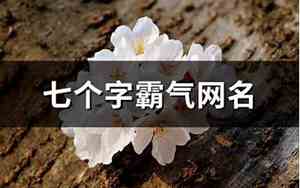七字霸气网名