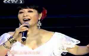 比较有名好听的雪花歌曲