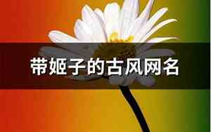 带姬的网名