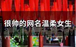 很帅的网名