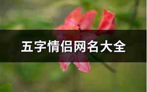五字网名情侣网名
