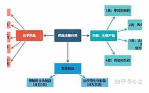 公司名字药品分类怎么写