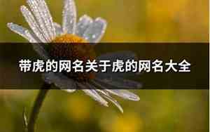 关于虎的网名