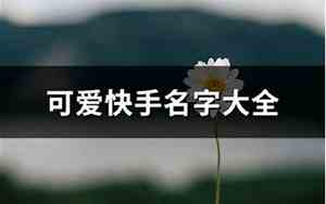 快手菜谱宝宝名字大全
