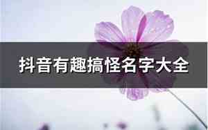 有钱搞怪公司名字大全