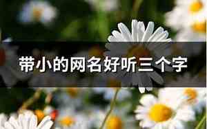 带小的网名