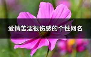伤感的个性网名