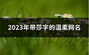 带莎的网名