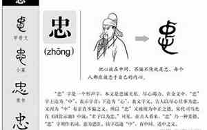带忠字名字虎宝宝