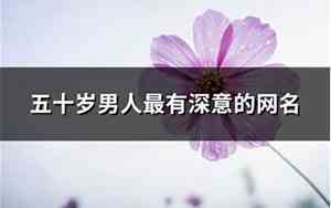 五十岁网名