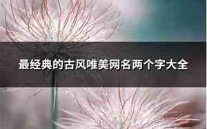 唯美网名两个字