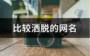 洒脱的网名