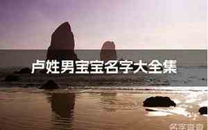卢男宝宝名字