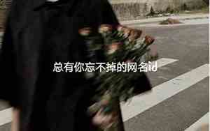 忘不掉的网名
