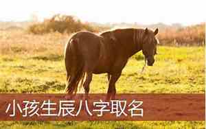 强壮的马宝宝名字