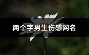伤感网名两个字男生