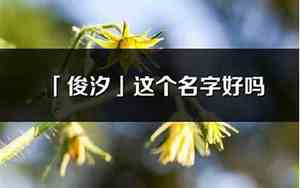 汐俊的名字好听吗