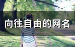 向往自由的网名
