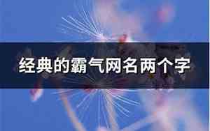 两个字霸气的网名