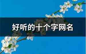 十个字的网名