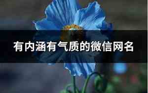 微信网名有内涵