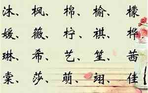 带木女孩有志向的好名字