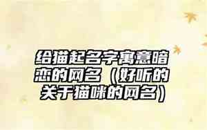 带有猫的网名