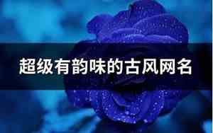 古典文艺的qq网名大全