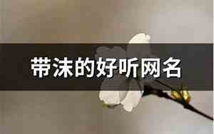 带沫的网名