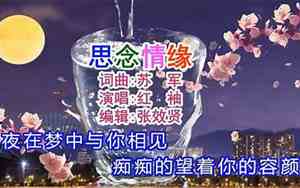 思念情缘最好听音乐大全