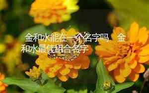 公司名字有金和水