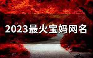 五宝妈网名