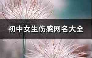 初中女生网名