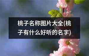 姓桃子的好听名字女