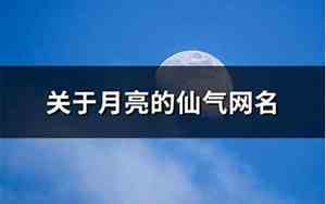 关于月亮网名