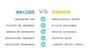 公司起名哪家的好一些