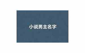 小说里的男主公司起名