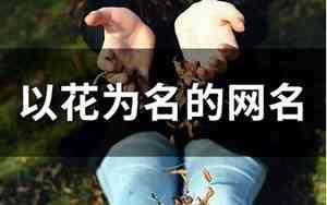 以花为名的网名