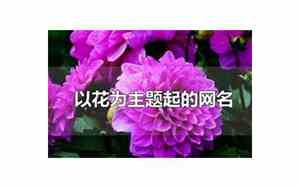 有关花的网名