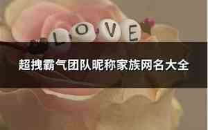 家族网名大全霸气