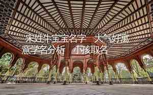 姓宋牛宝宝的名字