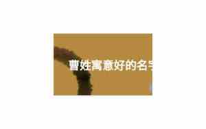 曹性好名字