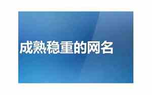 成熟网名